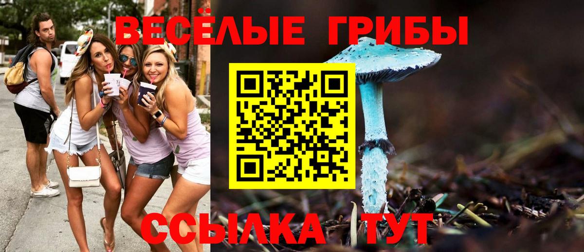 купить наркотики цена  Вход с VPN  Ульяновск  Галлюциногенные грибы Psilocybe  Псилоцибиновые грибы Cubensis 