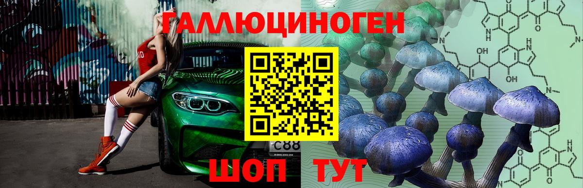 Галлюциногенные грибы GOLDEN TEACHER Ульяновск